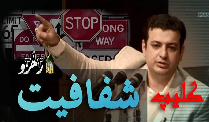 استاد رائفی پور ، شفافیت انتخابات