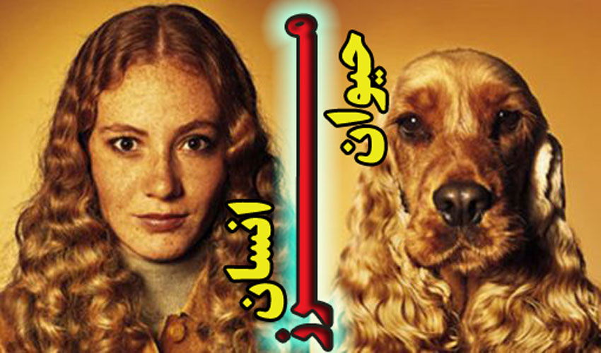 پرسشگری، مرز انسان و حیوان